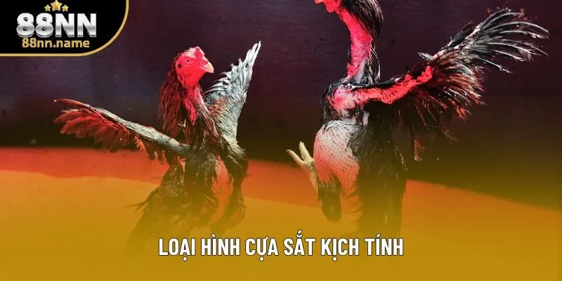 Loại hình cựa sắt kịch tính