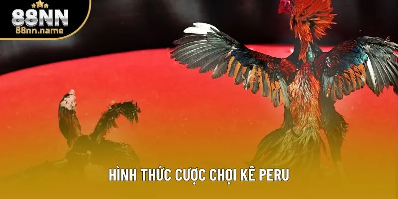 Hình thức cược chọi kê Peru