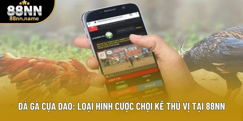 Đá Gà Cựa Dao: Loại Hình Cược Chọi Kê Thú Vị Tại 88NN